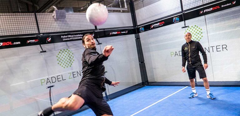 zlatan ibrahimovic